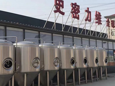 盐山精酿啤酒设备厂—市场规模与跨界新需求